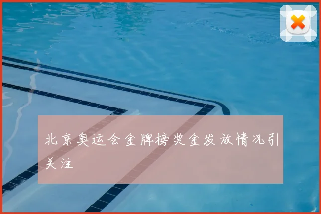 北京奥运会金牌榜奖金发放情况引关注