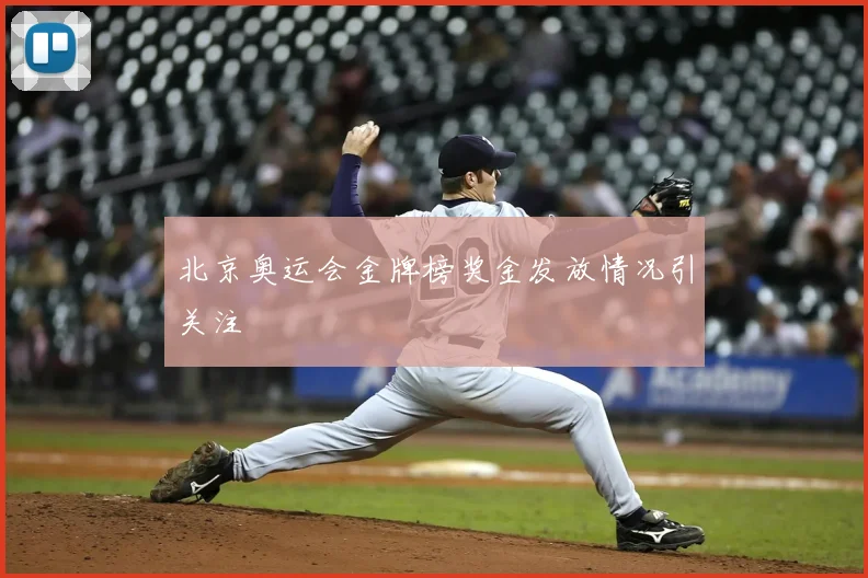 北京奥运会金牌榜奖金发放情况引关注