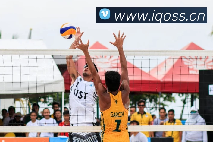 滚球官网app服务体系